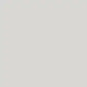Pale gray matte surface with consistent tone and diffused lighting, presenting a uniform, flat composition devoid of texture or branding.